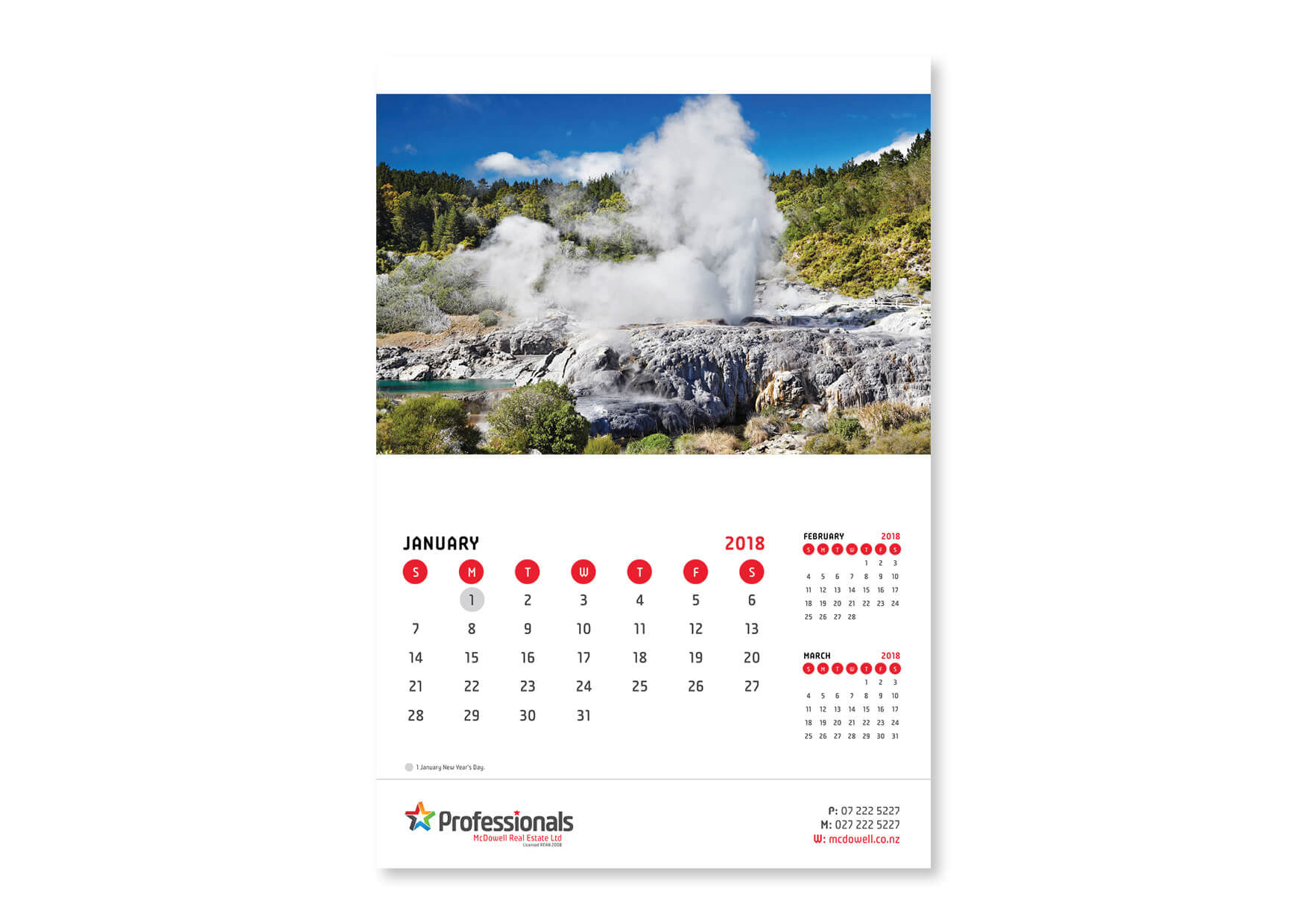 i-set-type-graphic-design-print-services-artwork-marketing-calender-McDowell-Professionals-real-estate-rotorua